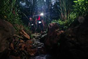 BIB: 
                            <button type="button" onclick="openModal(26417987)" class="btn btn-primary btn-sm float-right btn-popup" data-toggle="modal" data-target=".modal-high-quality">
                        <i class="fas fa-shopping-cart"></i> Add to Cart
                    </button>
                                            <button type="button" onclick="isThisMe(26417987, true)" class="btn btn-success btn-sm float-right btn-popup btn-isme hidden" data-toggle="tooltip" data-placement="bottom" title="นี่คือรูปของคุณใช่ไหม คลิกที่นี่เพื่อเอาเข้าอัลบั้ม">
                        <i class="fas fa-plus"></i> Add to album
                    </button>
                    <button type="button" onclick="isThisMe(26417987, false)" class="btn btn-warning btn-sm float-right btn-popup btn-isnotme hidden">
                        <i class="fas fa-ban"></i> Remove from album
                    </button>